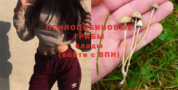 прущие крисы Алзамай