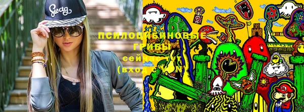 гашик Абдулино
