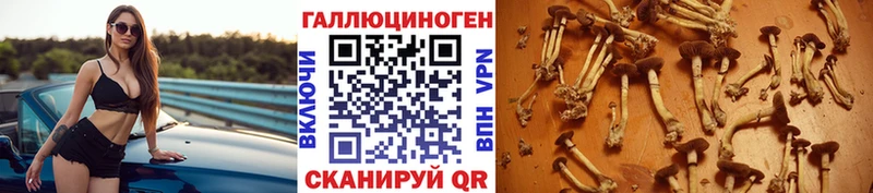 Галлюциногенные грибы мицелий  Николаевск-на-Амуре 